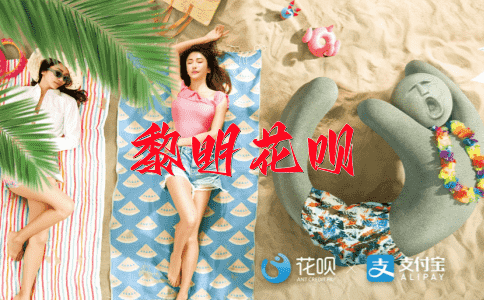 颇具深意花呗